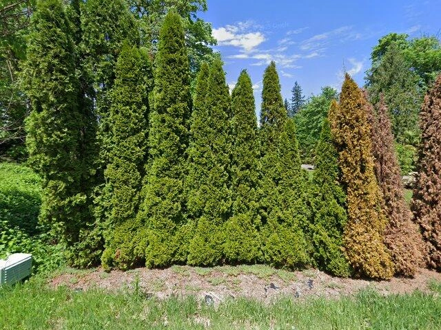 House image located at Olympia, WA 98512