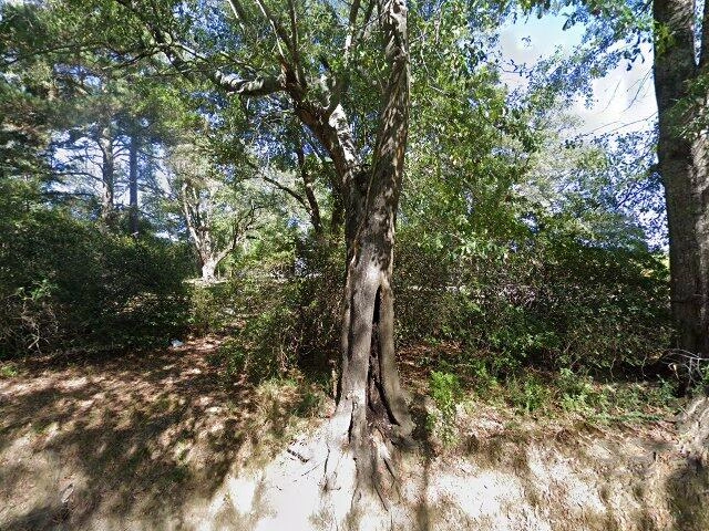 House image located at Amite, LA 70422