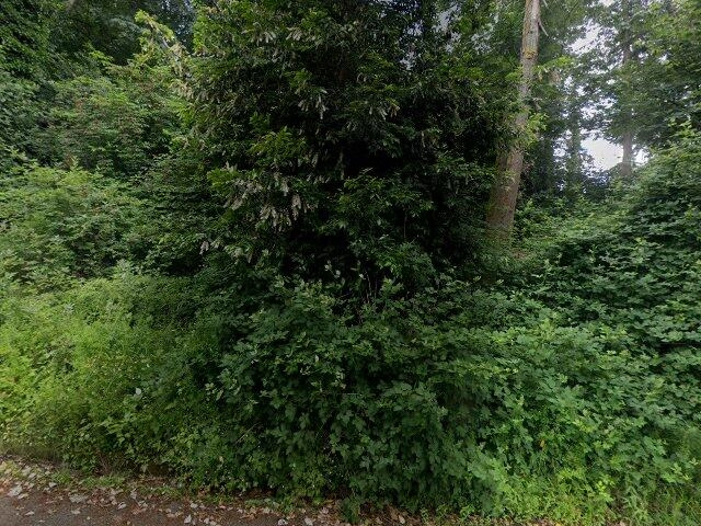 House image located at Kenmore, WA 98028