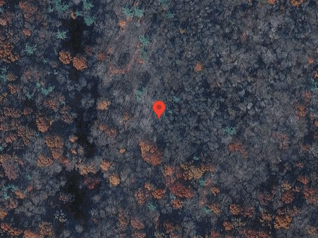 House image located at Lansing, IL 60438