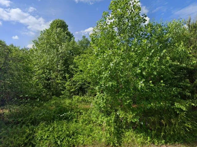 House image located at Lincolnton, NC 28092