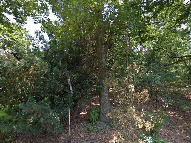 House image located at Island Falls, ME 04747