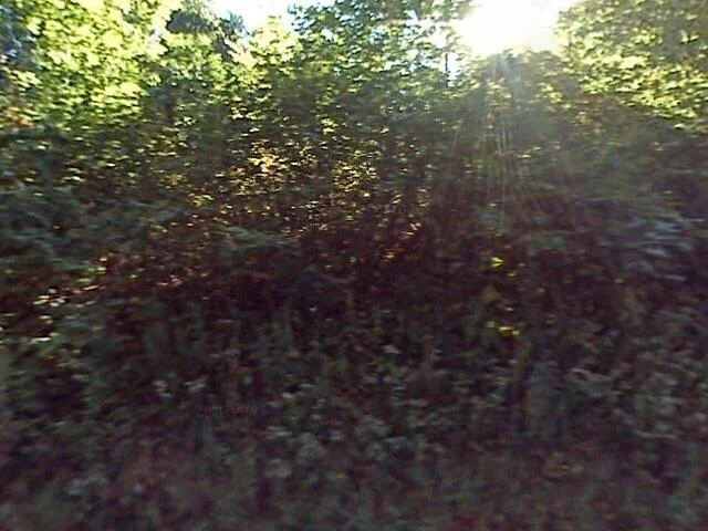 House image located at Stafford Springs, CT 06076