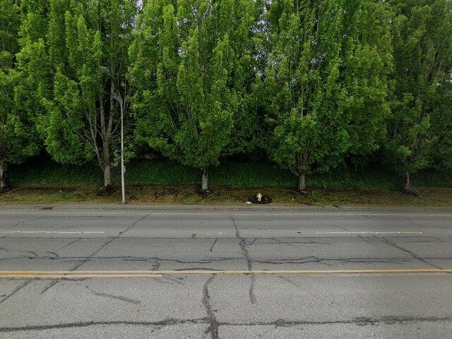 House image located at Renton, WA 98057