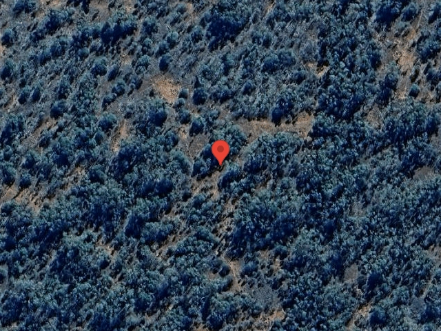 House image located at Norfolk, VA 23510