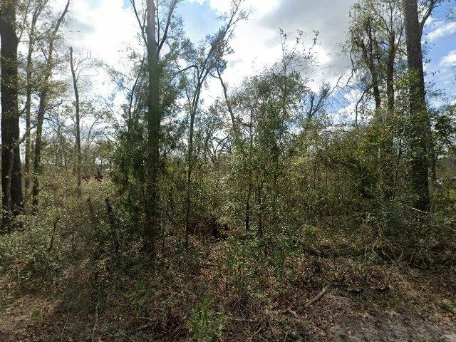 House image located at Madison, FL 32340