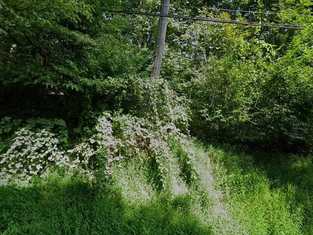 House image located at Coatesville, PA 19320