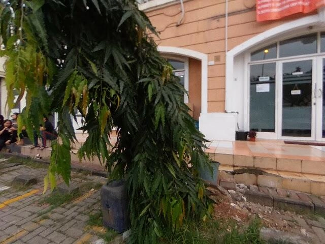 House image located at Perry, MI 48872