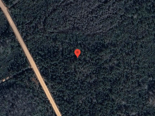 House image located at Ludowici, GA 31316