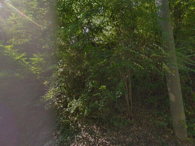 House image located at White Plains, NY 10603