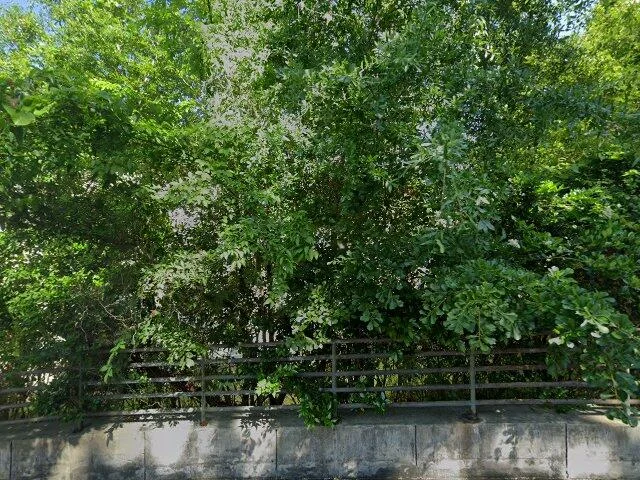 House image located at Tallahassee, FL 32303