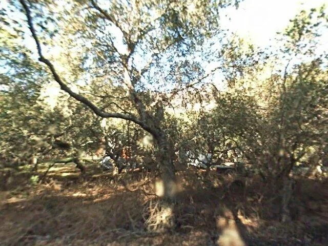 House image located at Carmel Valley, CA 93924