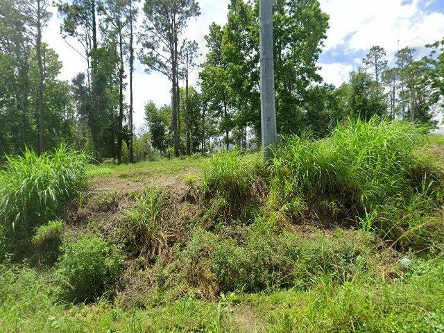 House image located at Dade City, FL 33523