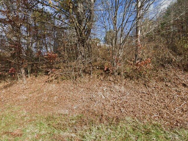 House image located at Woodlawn, VA 24381