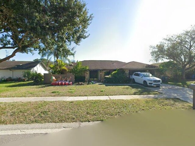 House image located at Tampa, FL 33624