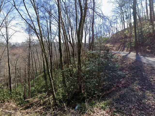 House image located at Gatlinburg, TN 37738