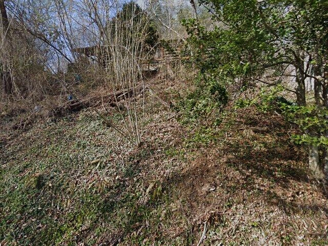 House image located at Sevierville, TN 37876