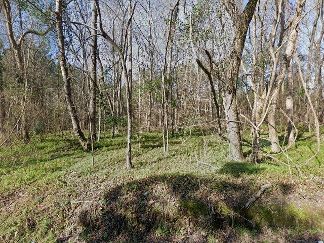 House image located at Gilbert, SC 29054