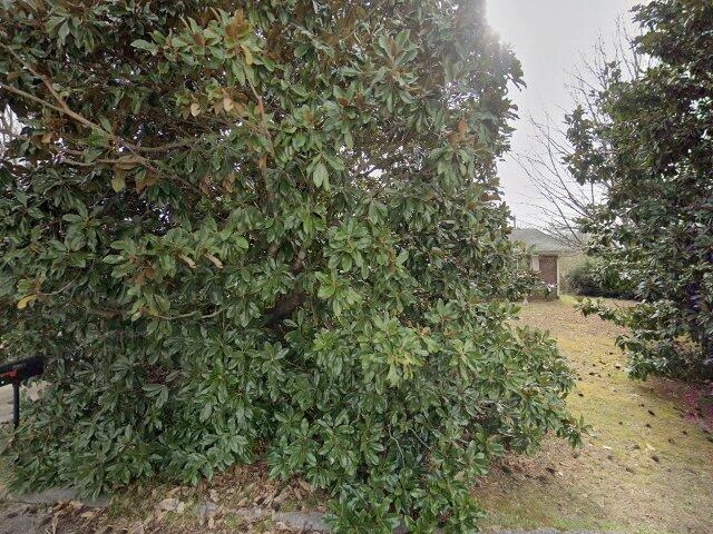 House image located at Dothan, AL 36301