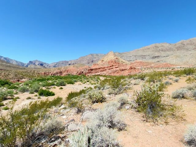 House image located at Littlefield, AZ 86432