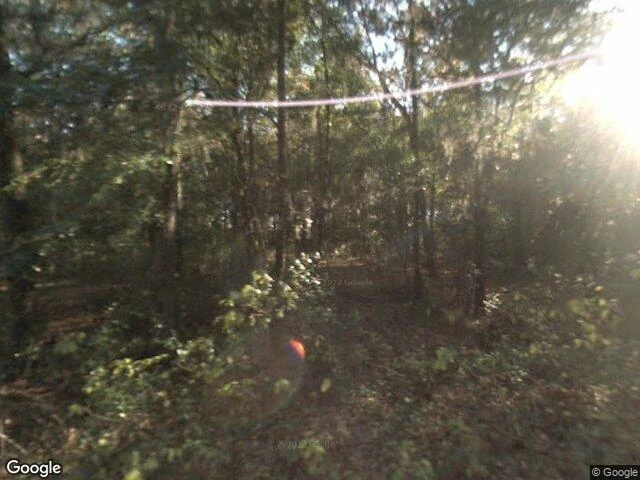 House image located at Fort White, FL 32038