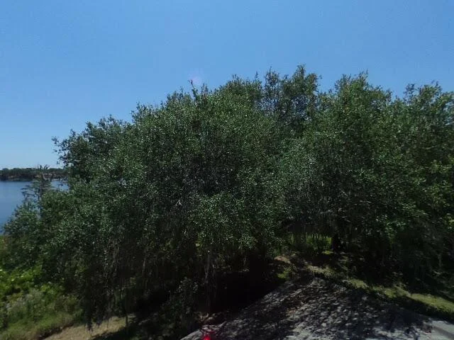 House image located at Orlando, FL 32836