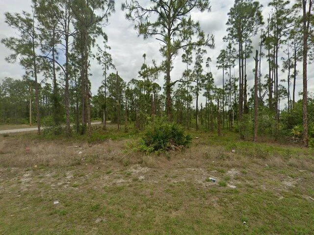 House image located at Lehigh Acres, FL 33974