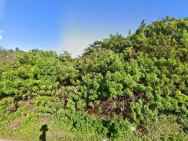 House image located at Cape Coral, FL 33909