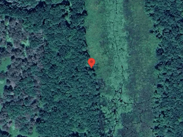 House image located at Swan Lake, NY 12783