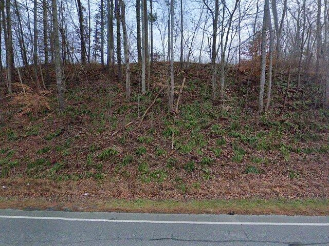 House image located at Weaverville, NC 28787