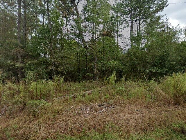 House image located at Jacksonville, AL 36265