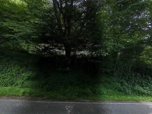 House image located at Boone, NC 28607