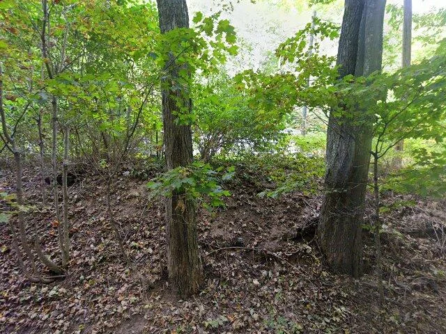 House image located at Petoskey, MI 49770