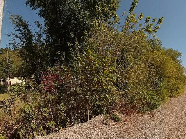 House image located at Borden, IN 47106