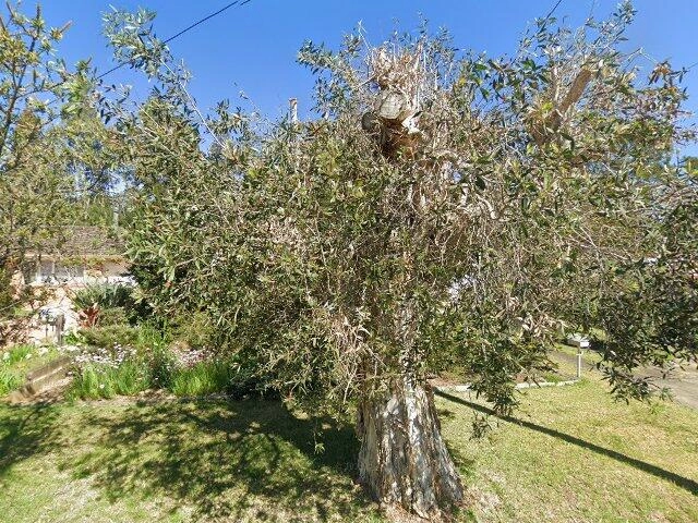 House image located at Springfield, MA 01109