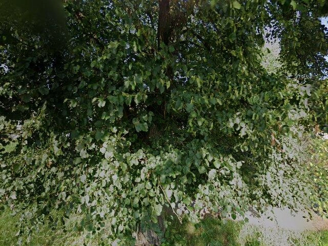 House image located at Cleveland, OH 44128