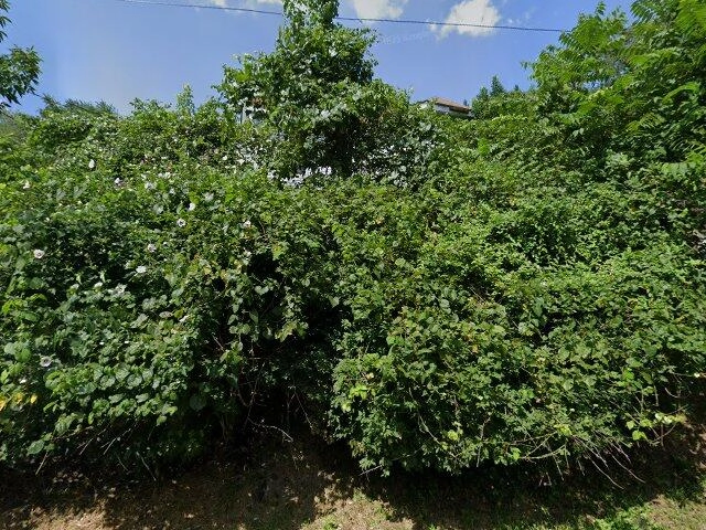 House image located at Weirton, WV 26062