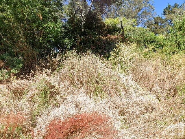 House image located at Olema, CA 94950