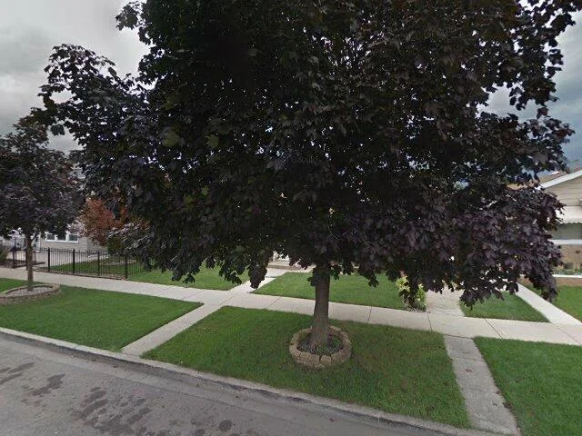 House image located at Cicero, IL 60804