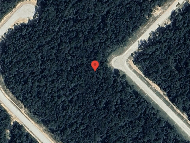 House image located at New Waverly, TX 77358