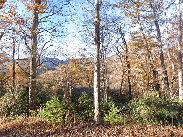 House image located at Swannanoa, NC 28778