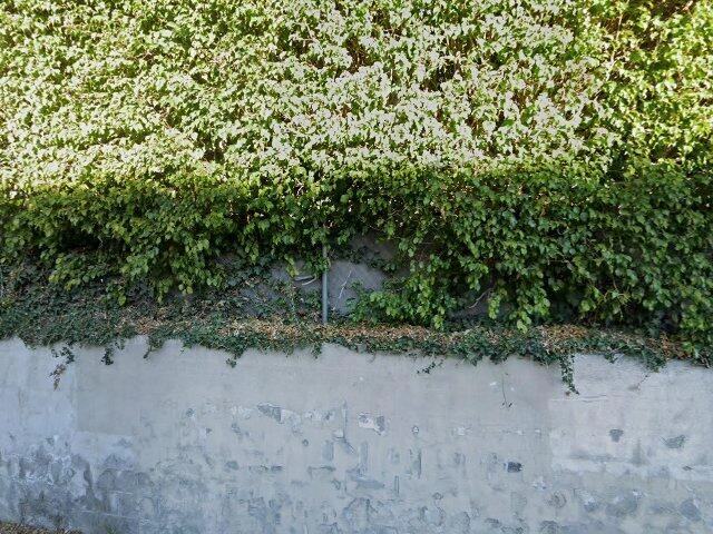 House image located at Beverly Hills, CA 90212