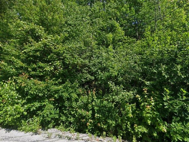 House image located at Weare, NH 03281