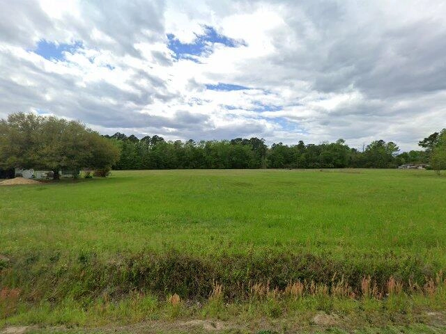 House image located at Olanta, SC 29114