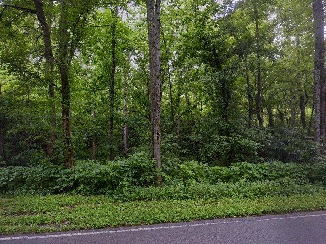 House image located at New Tazewell, TN 37825