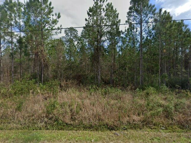 House image located at Hastings, FL 32145