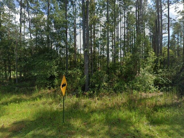 House image located at Lake City, FL 32055