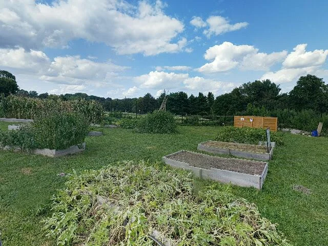 House image located at Wynnewood, PA 19096