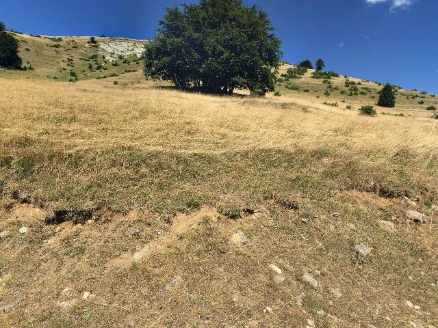 House image located at Palmdale, CA 93551