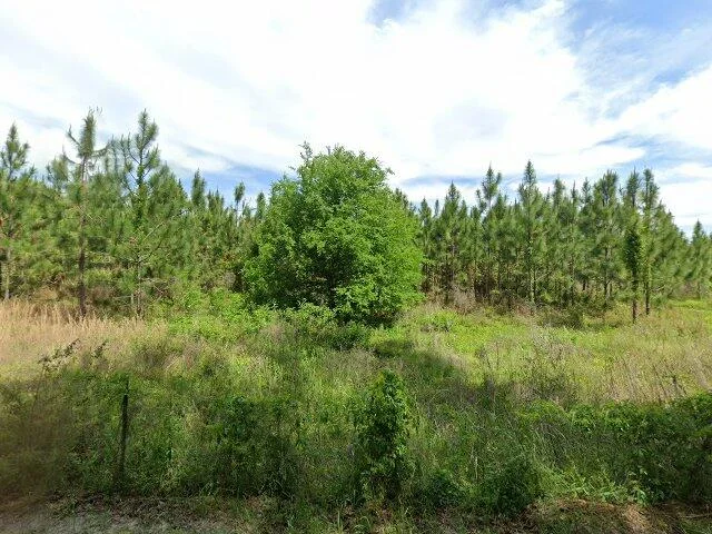 House image located at Lake City, FL 32024